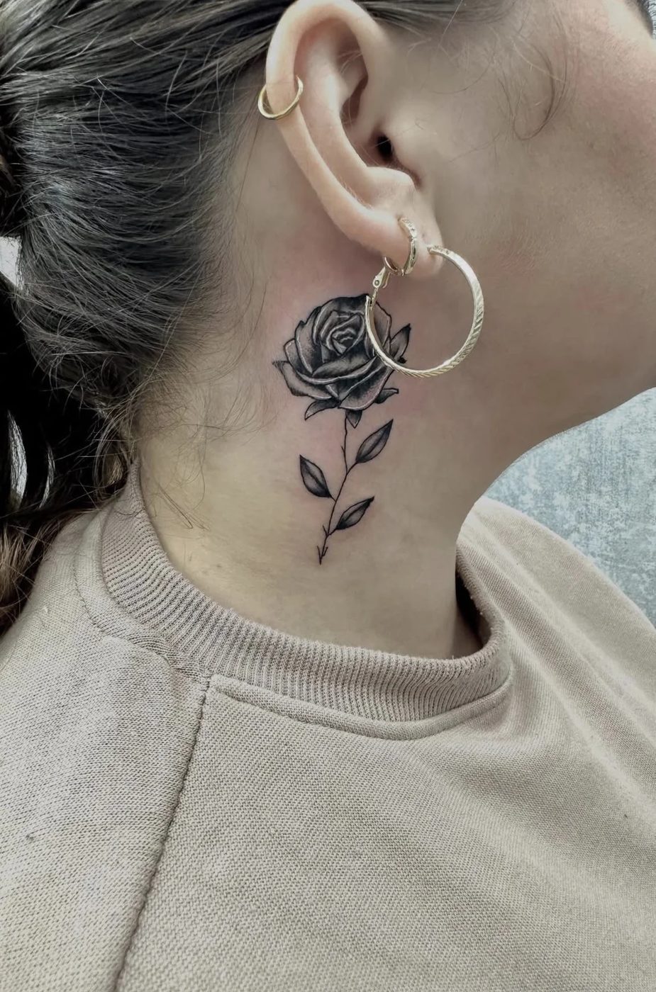 Rosa Delicada